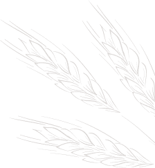 bg_1.png