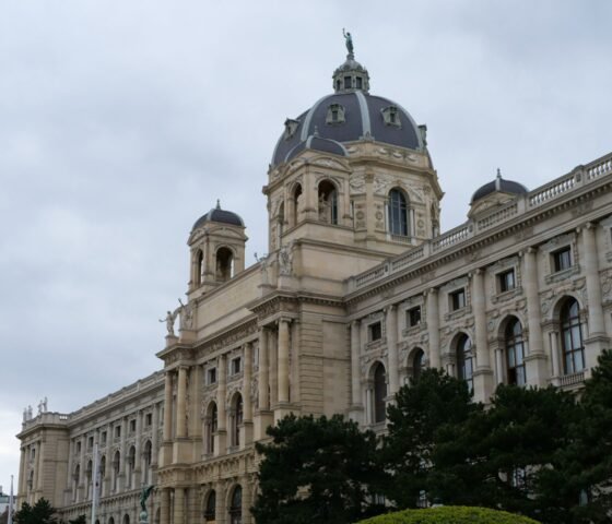 P1082166.jpg