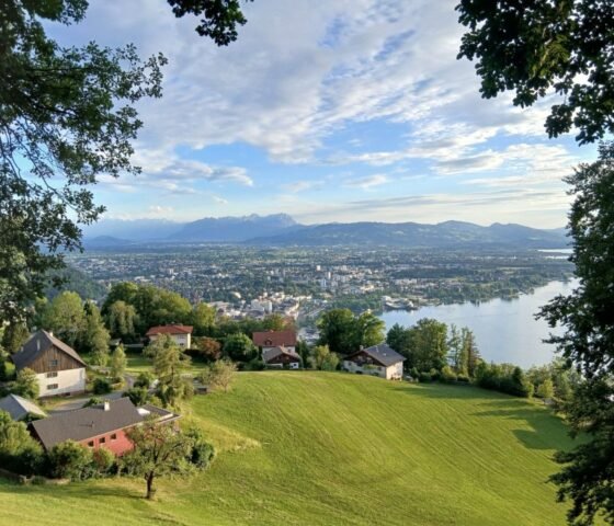 P_2026-07-11_19-25-39.jpg
